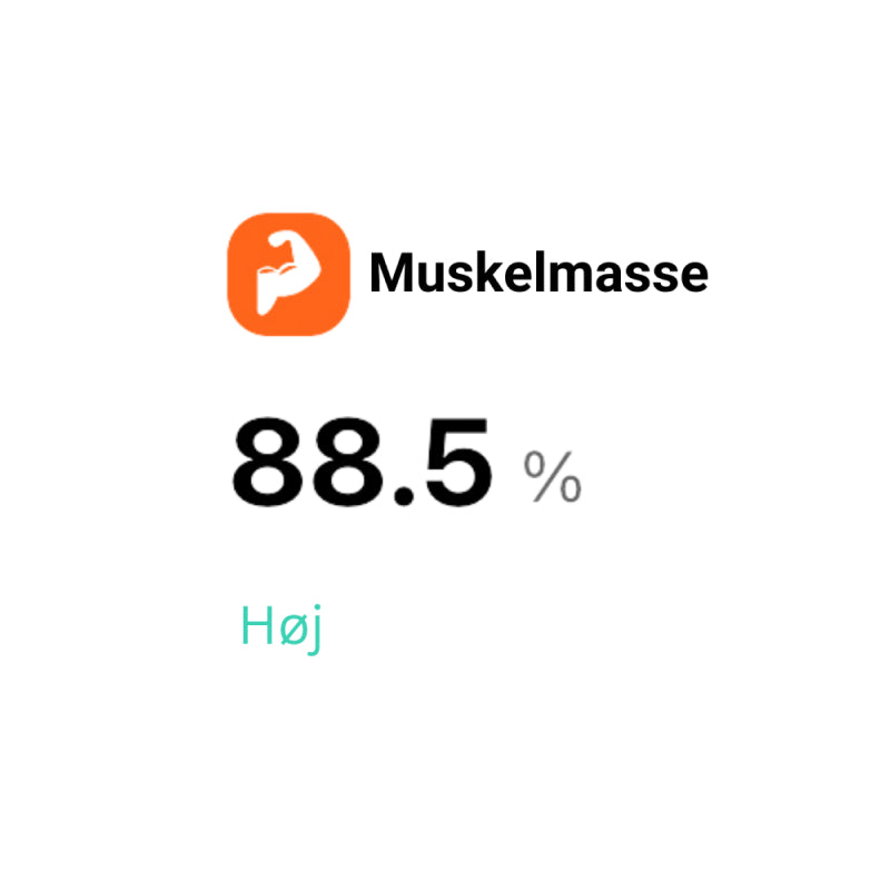 muskelmasse